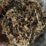 正宗绍兴梅干菜，产地直销，质量有保证