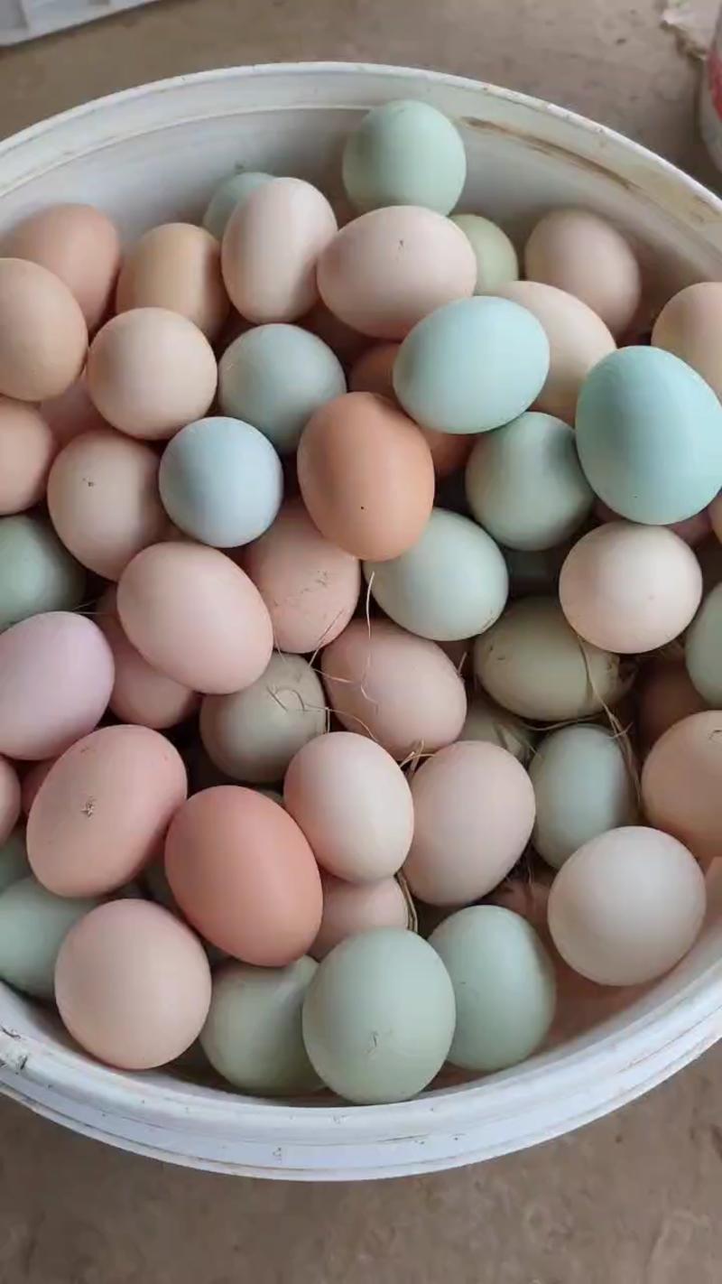 鸡蛋土鸡蛋湖北长寿散养初生蛋开窝蛋12个左右一斤质量保证