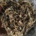 正宗绍兴梅干菜，产地直销，质量有保证
