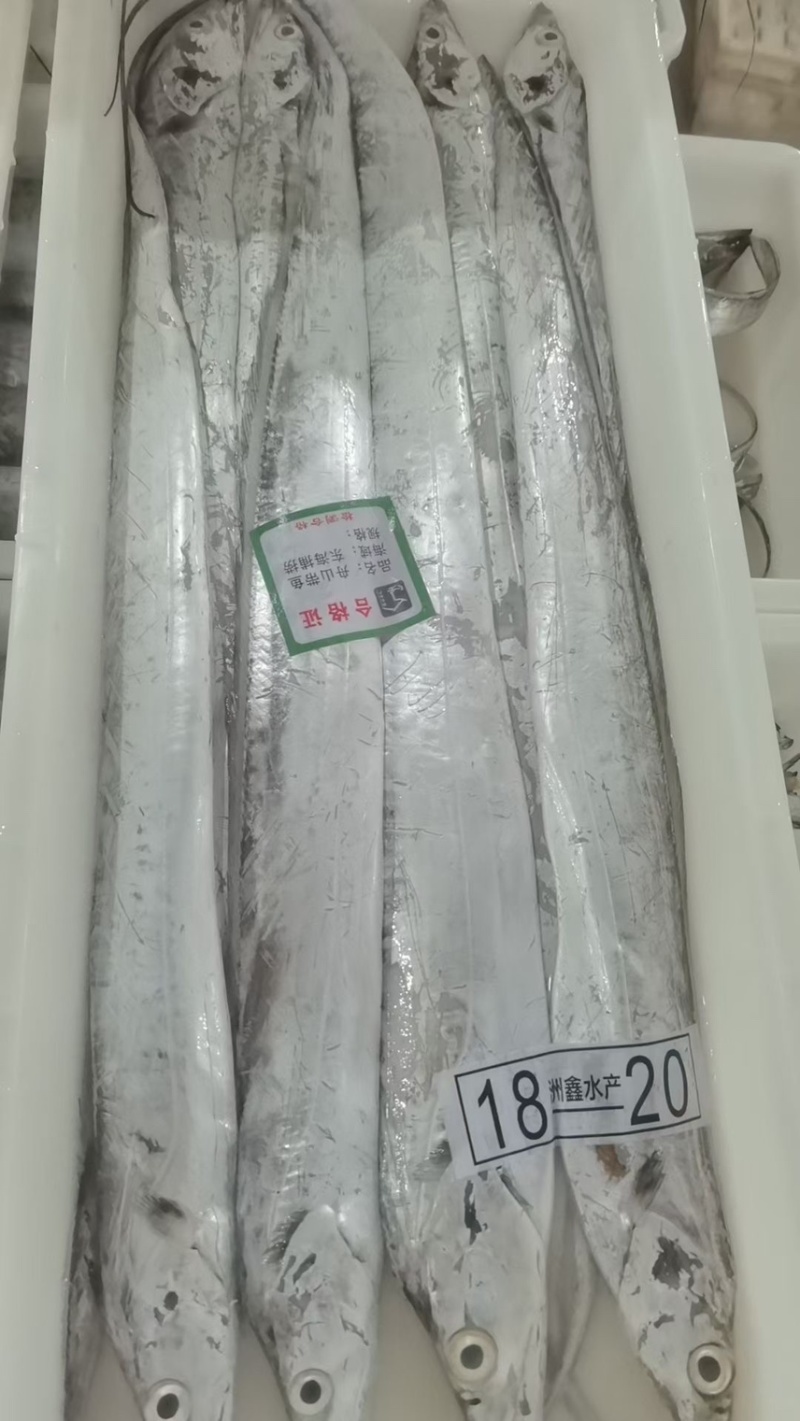 礼盒带鱼，正宗舟山带鱼，味道鲜美。