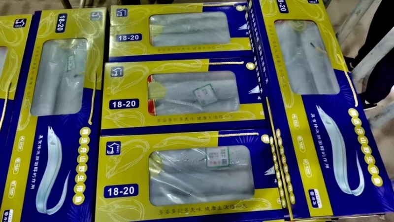 礼盒带鱼，正宗舟山带鱼，味道鲜美。