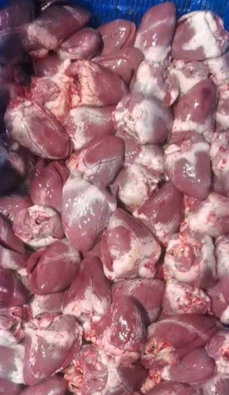 羔羊鲜羊心大量现货量大从优价格优惠欢迎电话联系