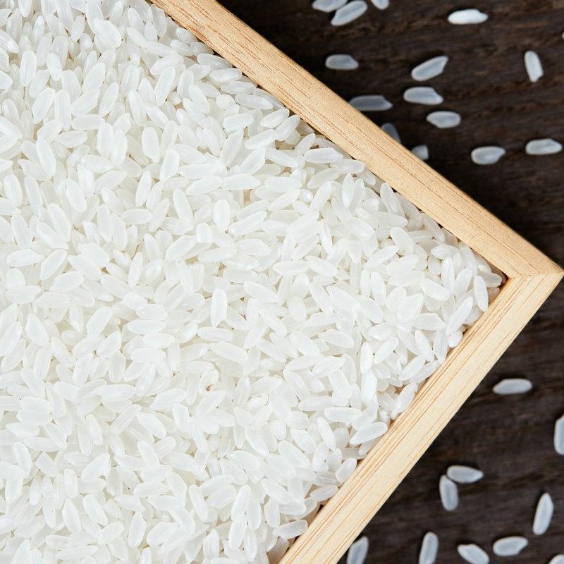 精品五常长粒香大米产地直供货源稳定有需可致电视频看货