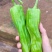 【万人下单】广东湛江鲜辣椒，芜湖椒，大量上市，一手货源