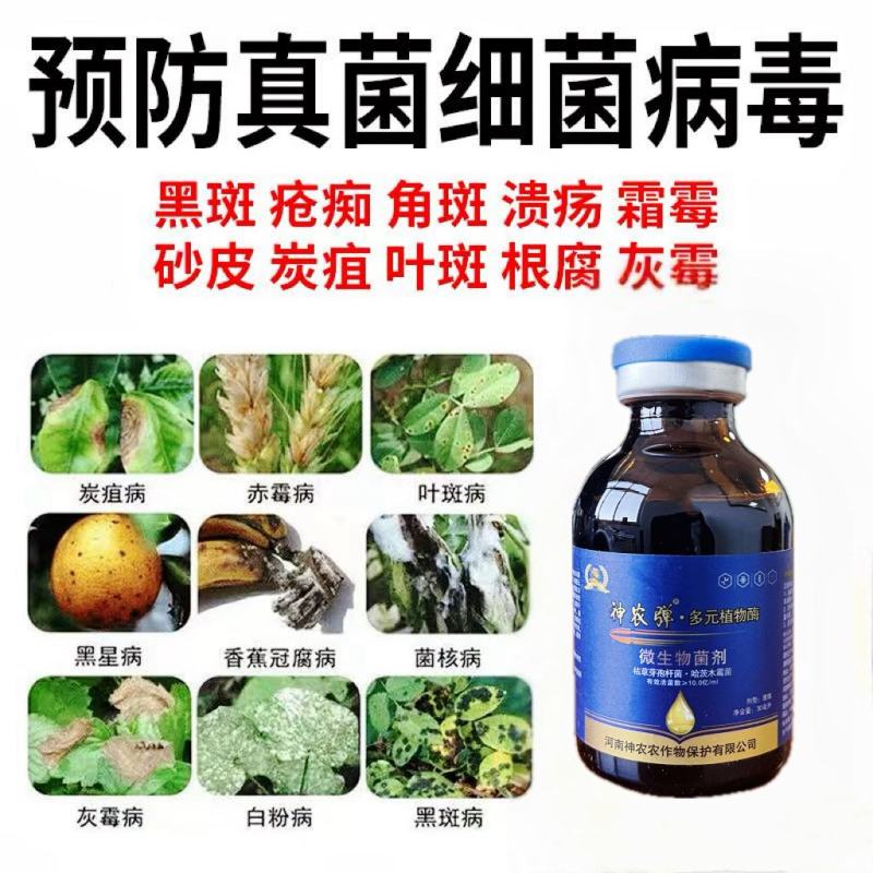 杀菌快速杀菌剂抑菌真菌细菌病毒全清微生物菌剂霜霉病炭疽病