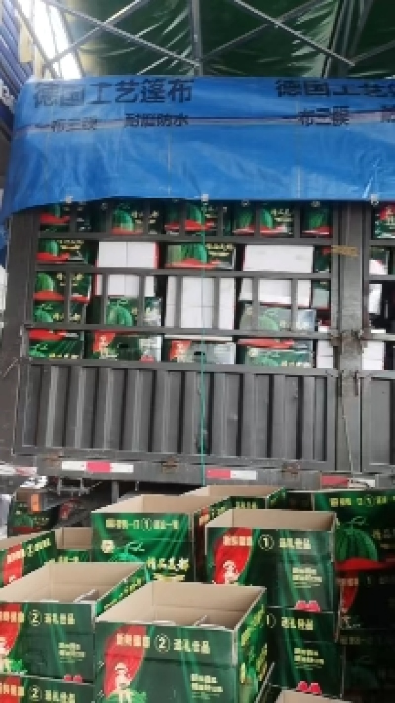 广东雷州精品美都西瓜大量有货，卢可全国代发团队产地直销