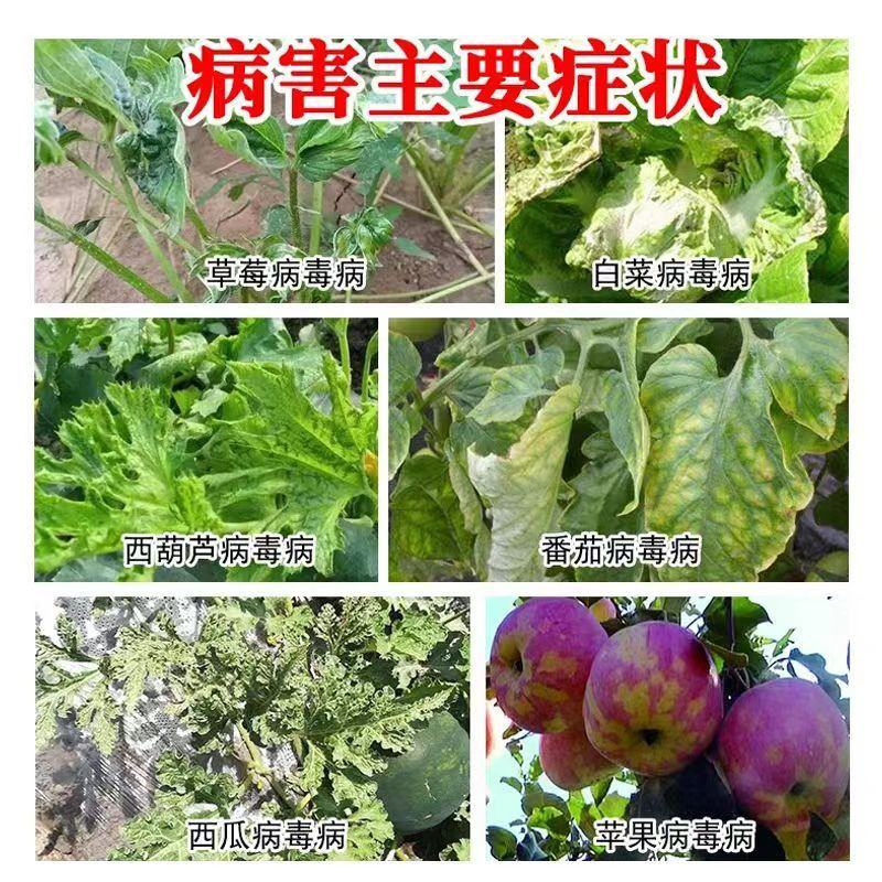 杀菌快速杀菌剂抑菌真菌细菌病毒全清微生物菌剂霜霉病炭疽病