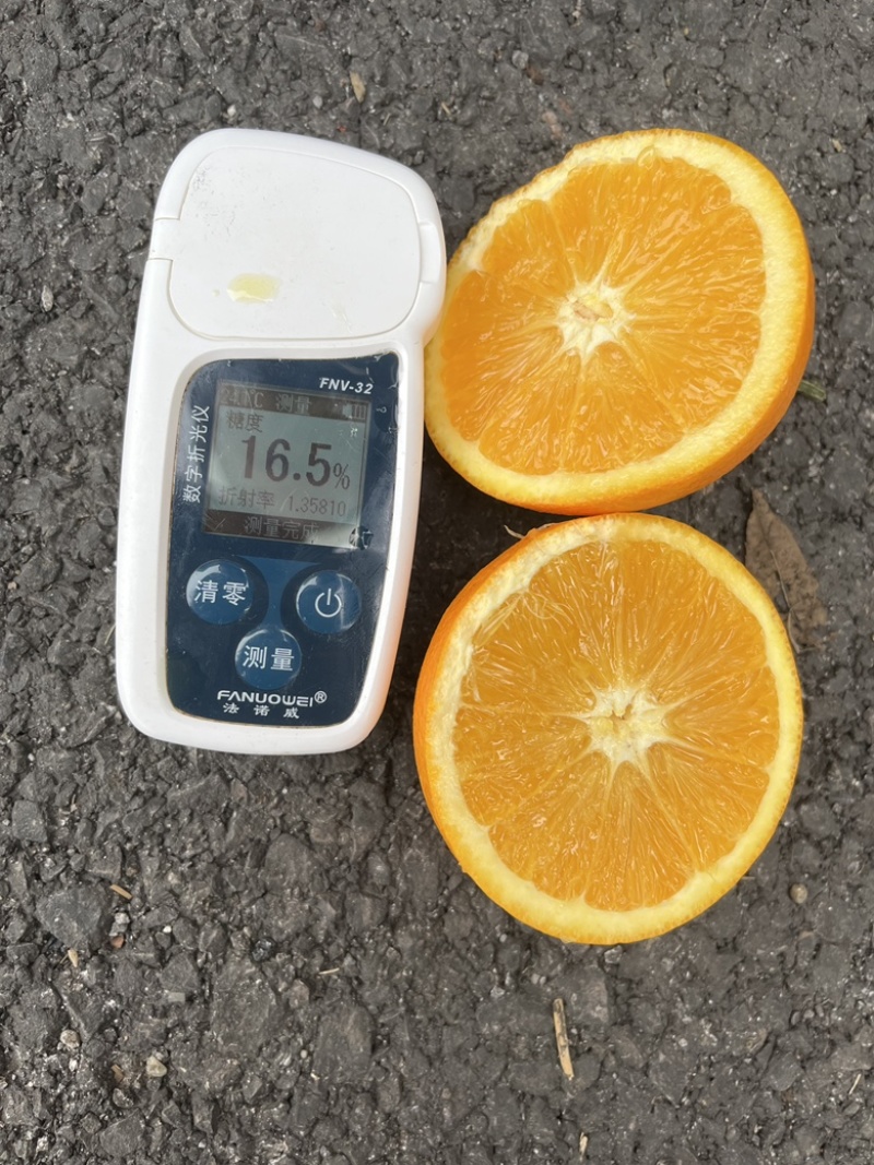 🔥纽荷尔脐橙长虹园虹全国发货对接出口支持视频看货