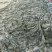 沙菜海带海带干海带头海带皮干海带一棵菜养殖场直接发货