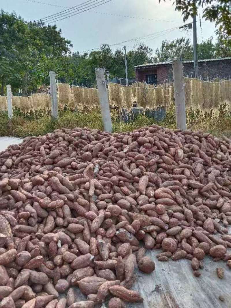 河北邢台精品红薯粉条，自家晾晒，产地一手货源，品质保证