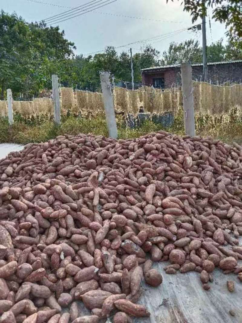 河北精品红薯粉条大量供货，自家晾晒，品质保证规格多样可选