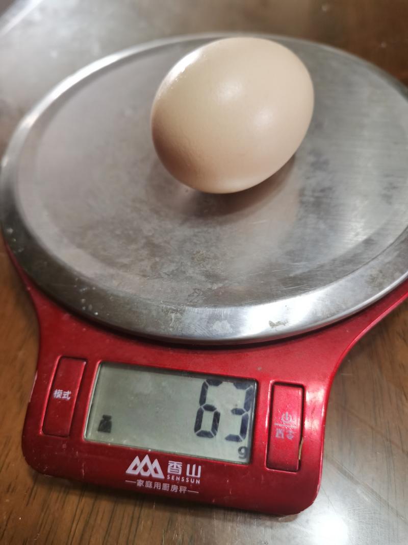 38-48码新鲜鸡蛋，粉壳黄心48小时内，质量保证欢迎咨