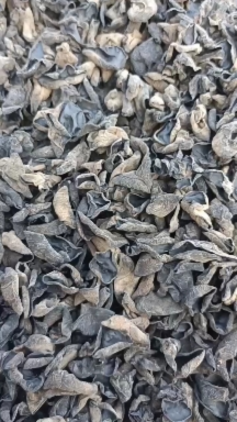 【木耳】黑木耳秋木耳自产自销肉质细腻
