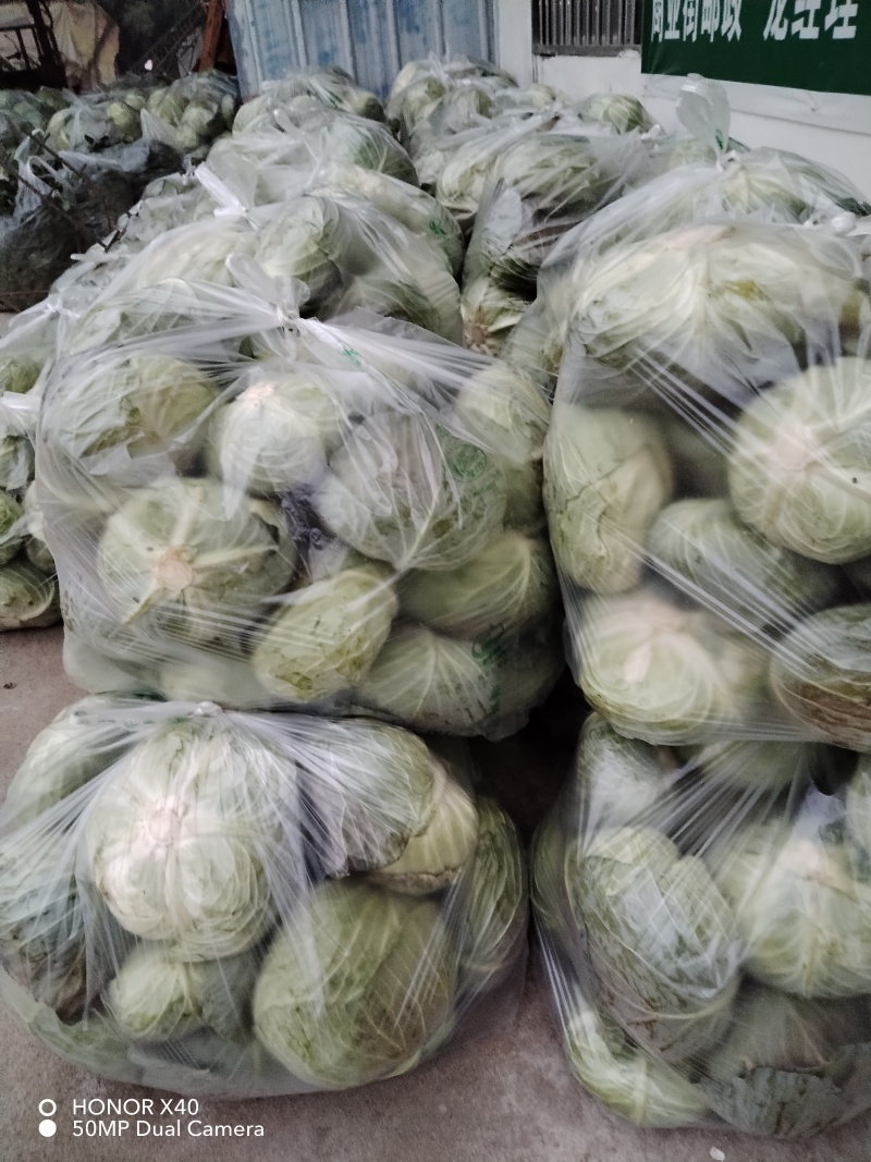 地膜铁包量大扁包菜，甘蓝货源充足，价格便宜