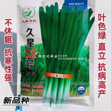 久星32号韭菜种子特抗病高产韭菜籽种子抗寒强直立不休眠韭