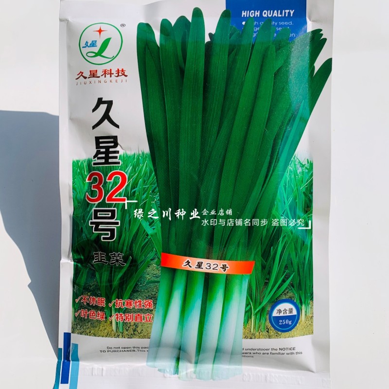 久星32号韭菜种子特抗病高产韭菜籽种子抗寒强直立不休眠韭