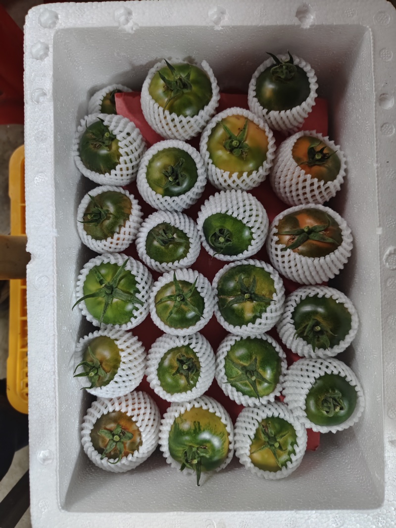 草莓柿子草莓番茄