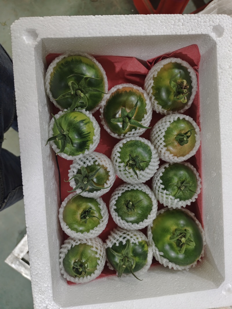 草莓柿子草莓番茄