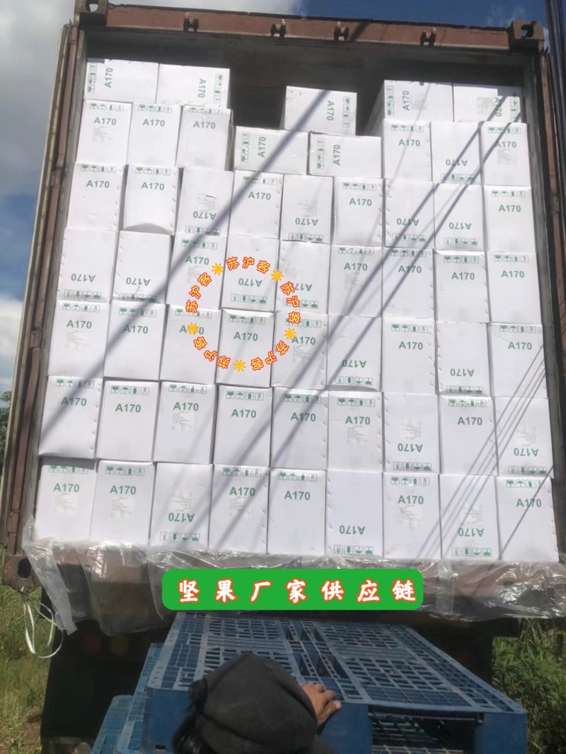 腰果仁越南带紫皮衣盐焗原味炭烧烘烤A180一件代电商展会