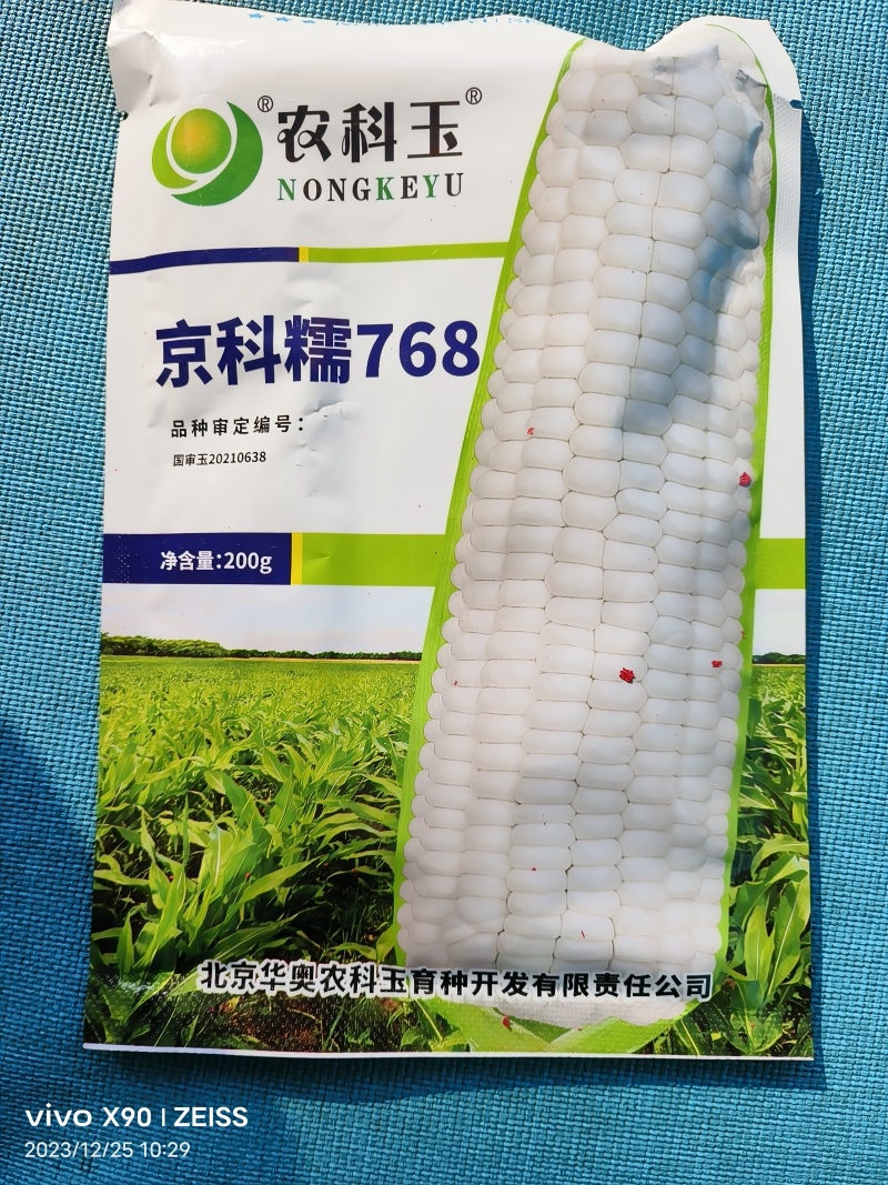 京科糯768白糯玉米种囗感好产量高跟当地的种植习惯种抗病