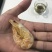 工厂自用原材料清货价，量大价优，有需要的老板请与我联系。