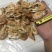 工厂自用原材料清货价，量大价优，有需要的老板请与我联系。