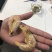 工厂自用原材料清货价，量大价优，有需要的老板请与我联系。