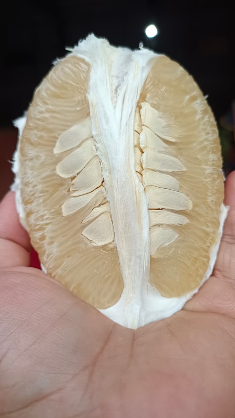 梅州沙田柚
