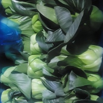 油菜大量上市，品质好价格低
