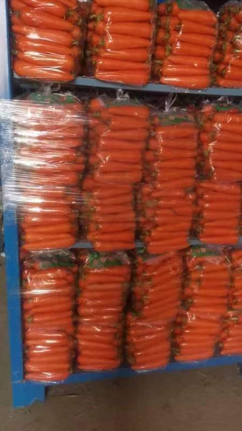 开封三红胡萝卜精品水洗胡中条萝卜大红红萝卜品种齐全