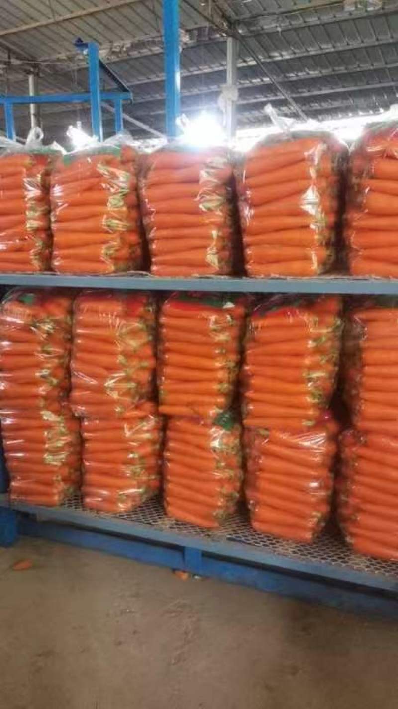 开封三红胡萝卜精品水洗胡中条萝卜大红红萝卜品种齐全