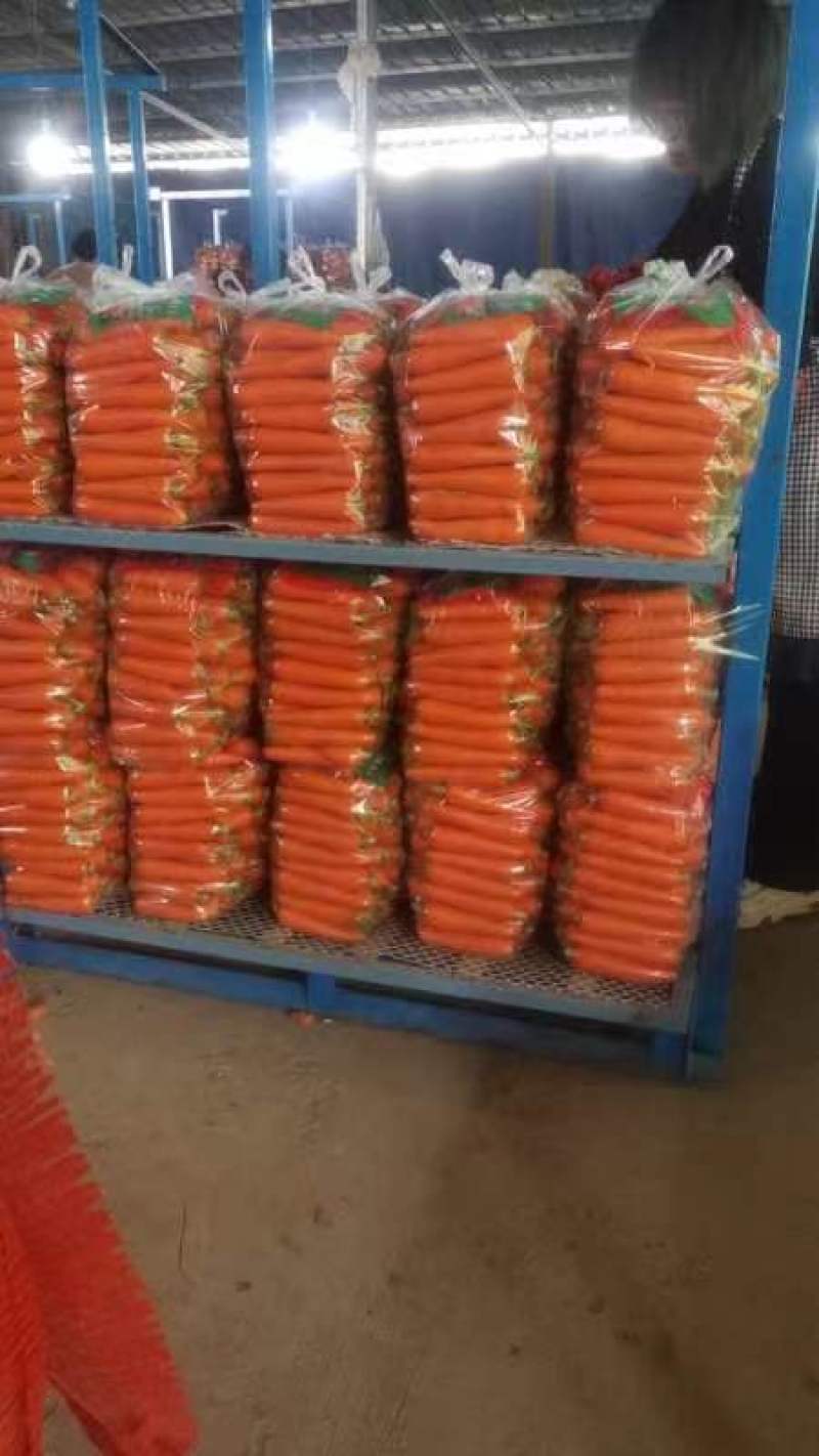 开封三红胡萝卜精品水洗胡中条萝卜大红红萝卜品种齐全