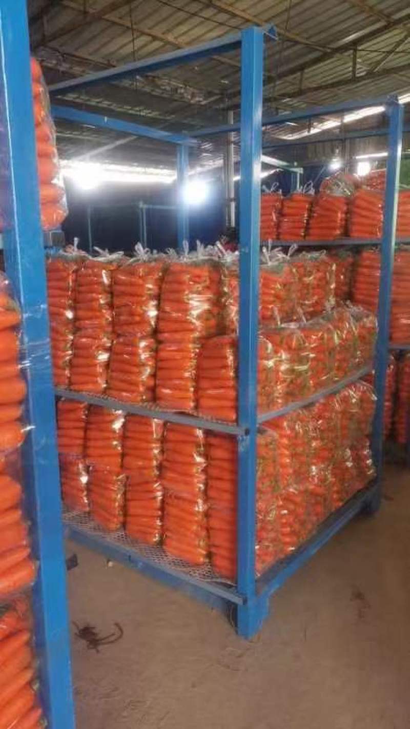开封三红胡萝卜精品水洗胡中条萝卜大红红萝卜品种齐全