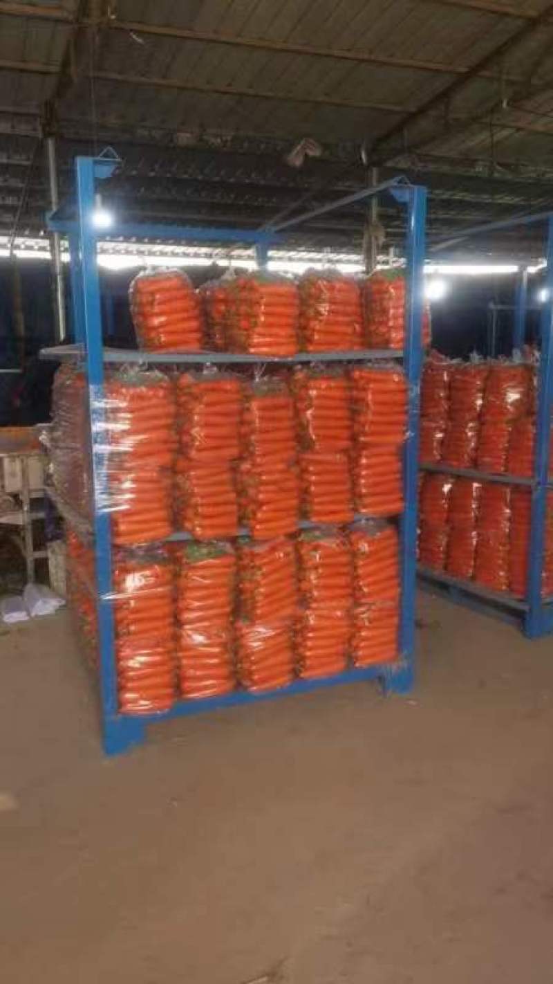 开封三红胡萝卜精品水洗胡中条萝卜大红红萝卜品种齐全