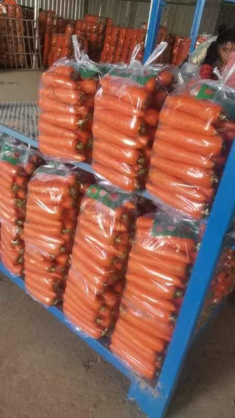 开封三红胡萝卜精品水洗胡中条萝卜大红红萝卜品种齐全