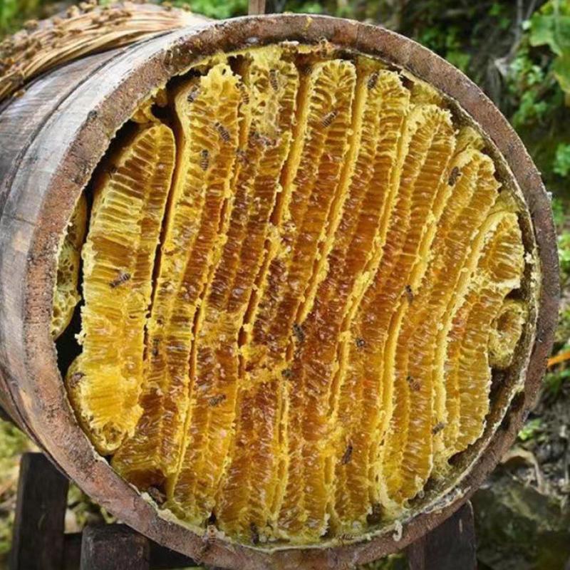 甘肃天水黄大山土蜂蜜深山，品质保证，可以长期供应土蜂蜜，
