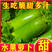 【产地直发】山东青皮水果萝卜，新鲜生吃水份足，价格便宜
