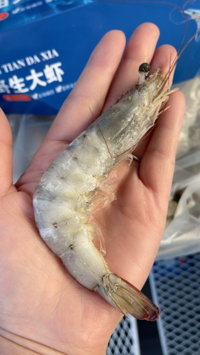 30-40皇冠大板（净重24斤）