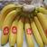 菲律宾精品香蕉，保质保量，大量现货，支持全国发货。