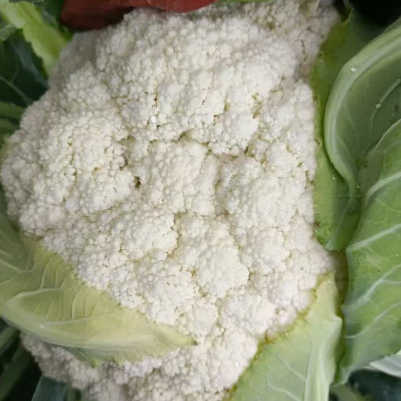 云南小米有机花菜