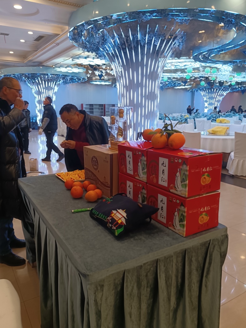 秭归脐橙(普脐。长虹，元红中华红九月红)