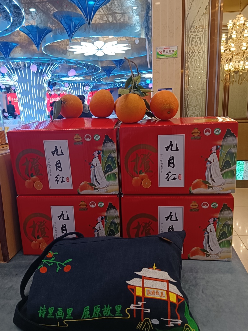 秭归脐橙九月红