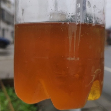 桐油自产自销产地货源可视频看货量大可谈价欢迎联系