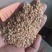 碎玉米麦漏玉米粉大量现货