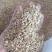 碎玉米麦漏玉米粉大量现货