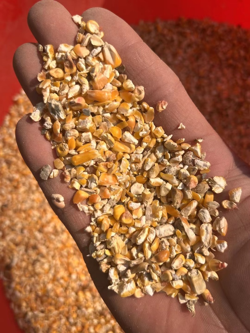 碎玉米麦漏玉米粉大量现货