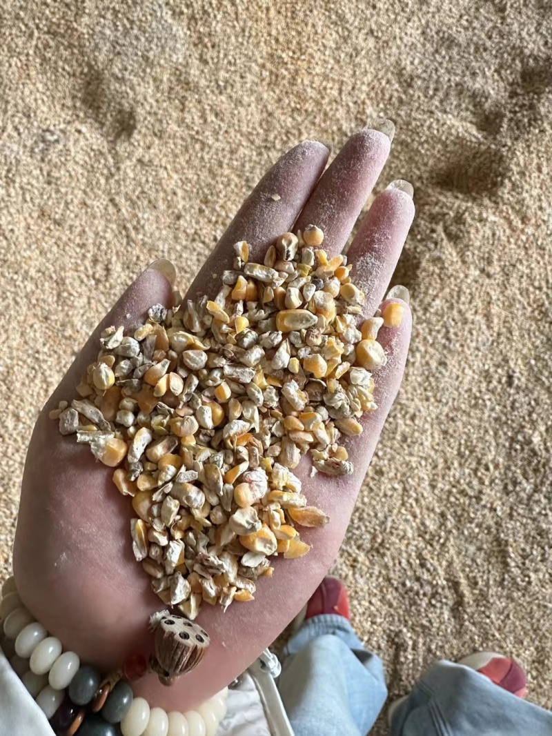 碎玉米麦漏玉米粉大量现货
