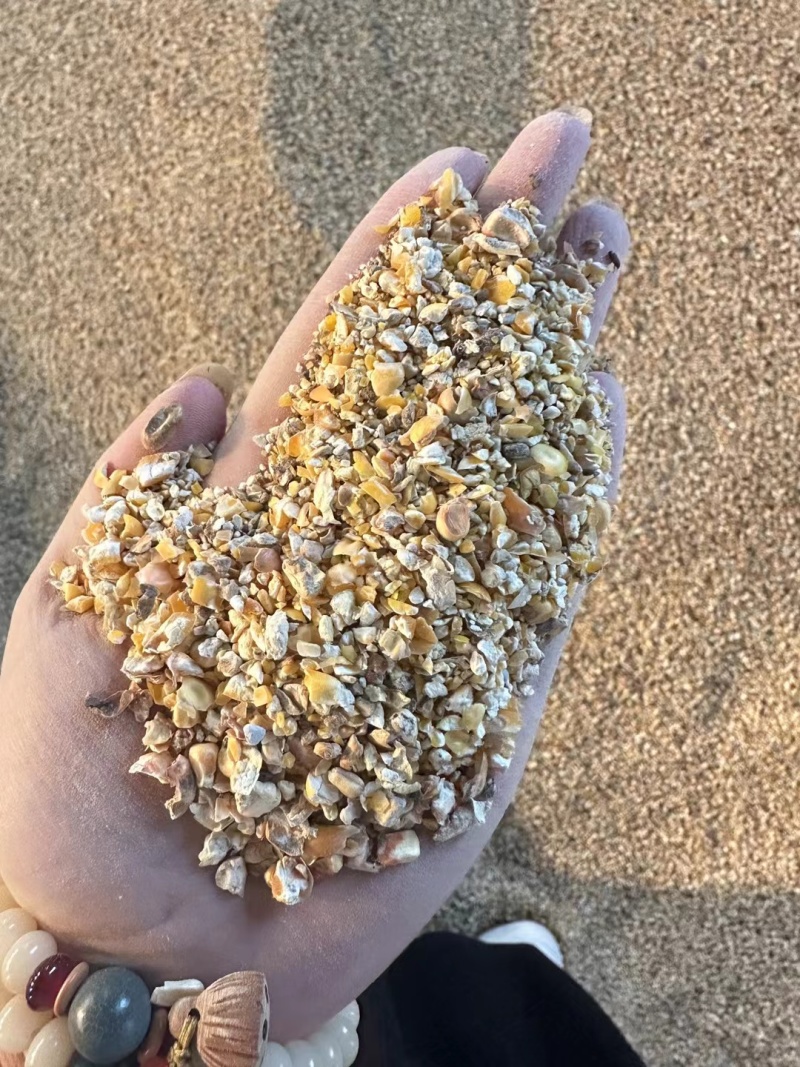 碎玉米麦漏玉米粉大量现货