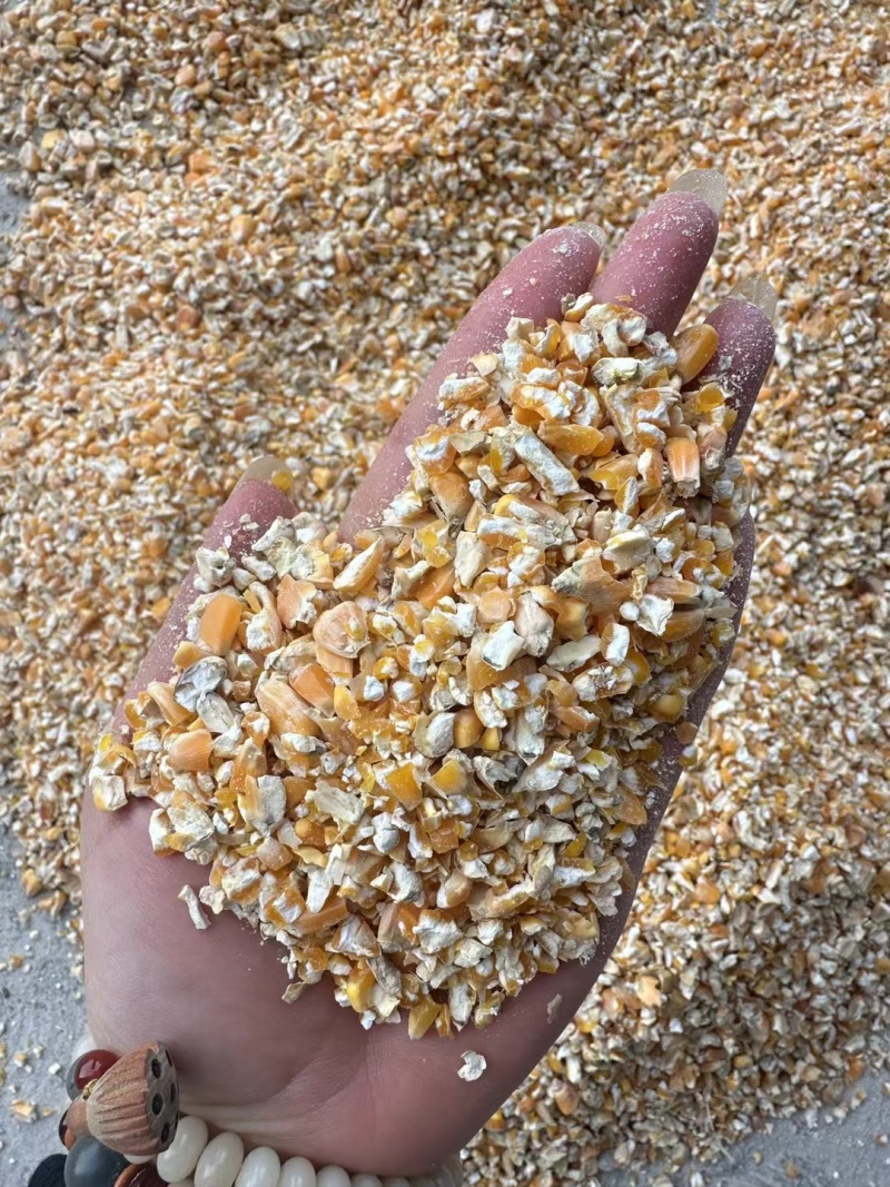 碎玉米麦漏玉米粉大量现货