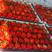丹东精品大红颜草莓，快递精品货，欢迎各地客商前来选购